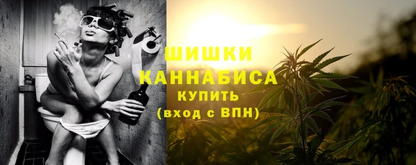 молекула духа Осташков