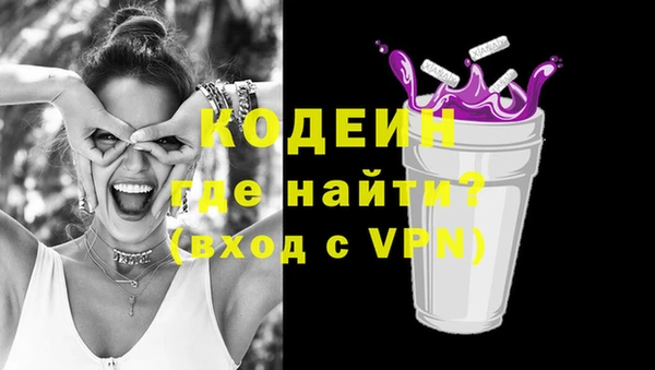 молекула духа Осташков