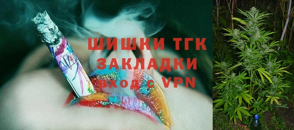 молекула духа Осташков
