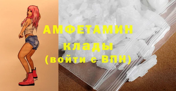 шишки Осинники