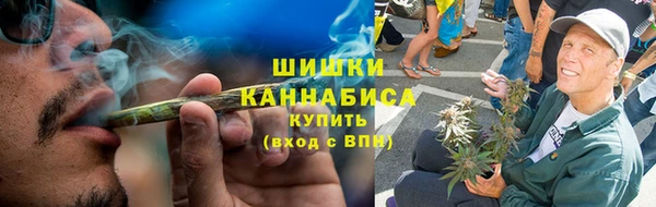 молекула духа Осташков