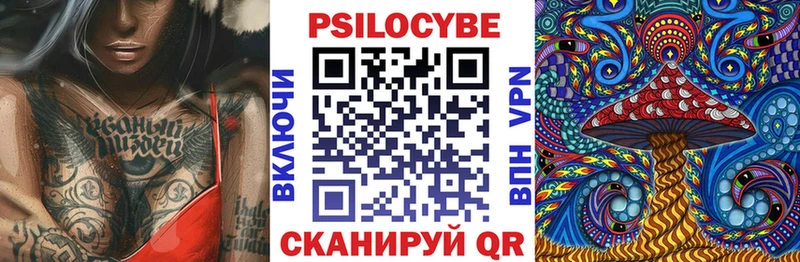 Псилоцибиновые грибы Psilocybe  Слюдянка 